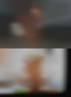 looking for ass in Arkansas