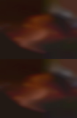 sexy NSA women in Burley ID wanting sex right now
